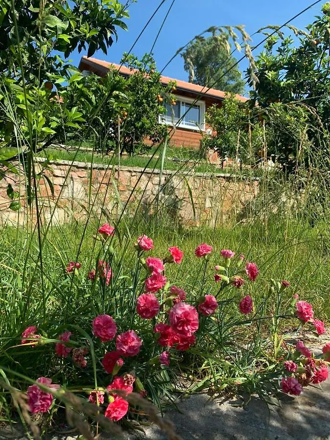 Villa The Mussel House Ksamil 0*,