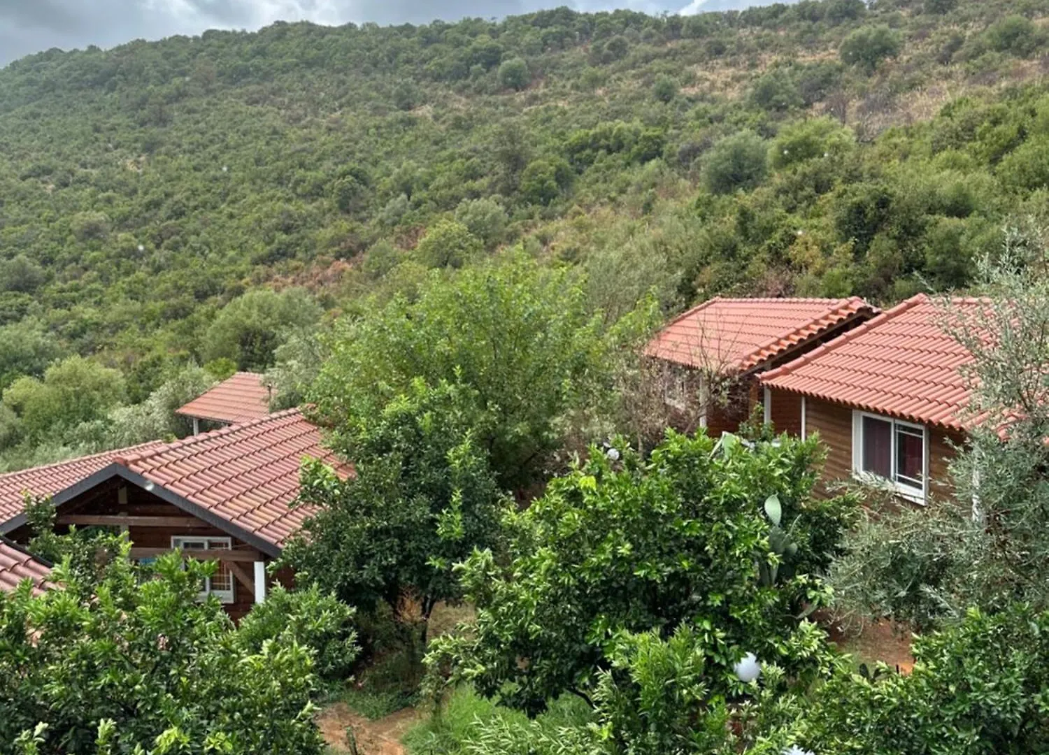 Holiday home The Mussel House Villa Ksamil
