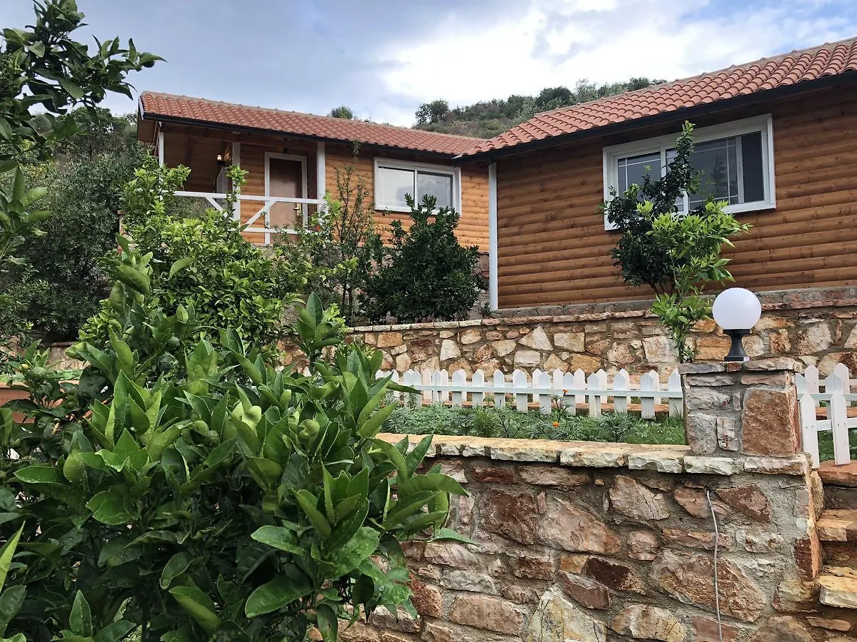 The Mussel House Villa Ksamil 0*,  Albania