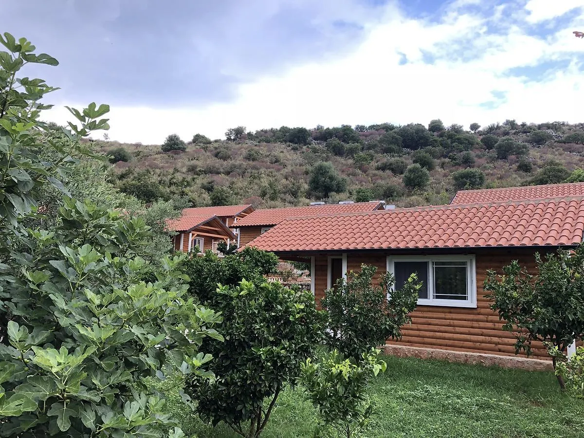 Holiday home The Mussel House Villa Ksamil